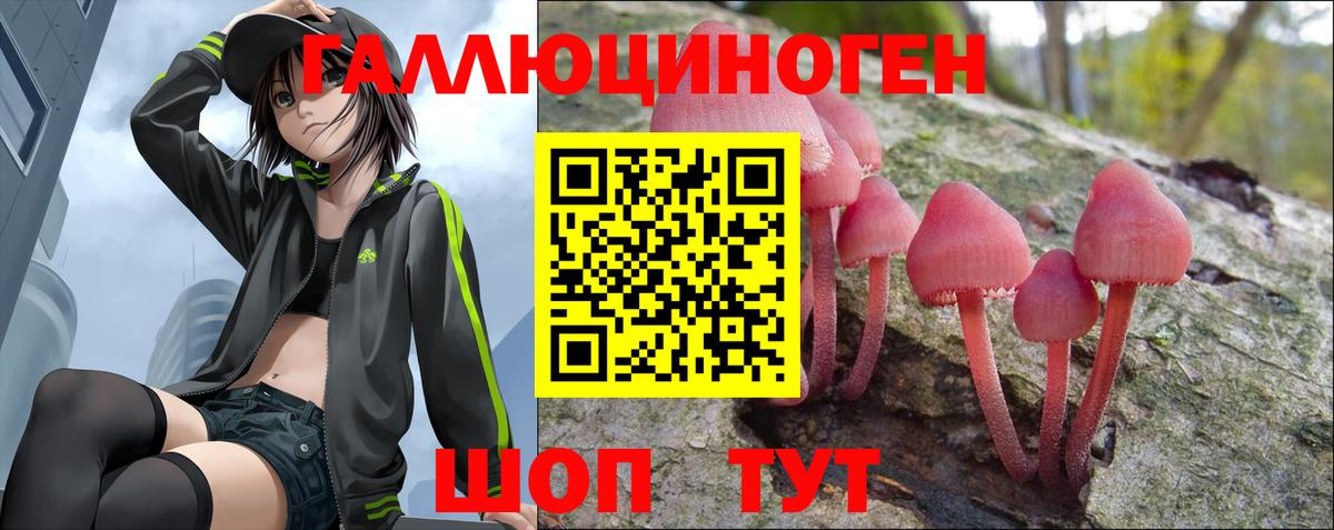 магазин продажи   Вход с VPN  Касимов  Псилоцибиновые грибы Cubensis 
